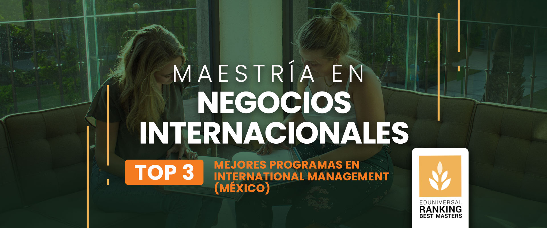 Maestría en Negocios Internacionales - Universidad de las Américas Puebla (UDLAP)