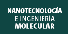 Nanotecnología  e Ingeniería  Molecular 
