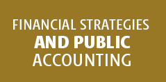 Financial Strategies and Public Accounting