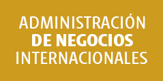 Administración de Negocios Internacionales 