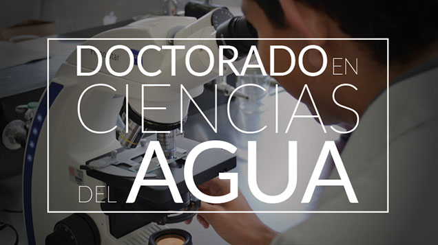 Oferta académica - Universidad de las Américas Puebla (UDLAP)