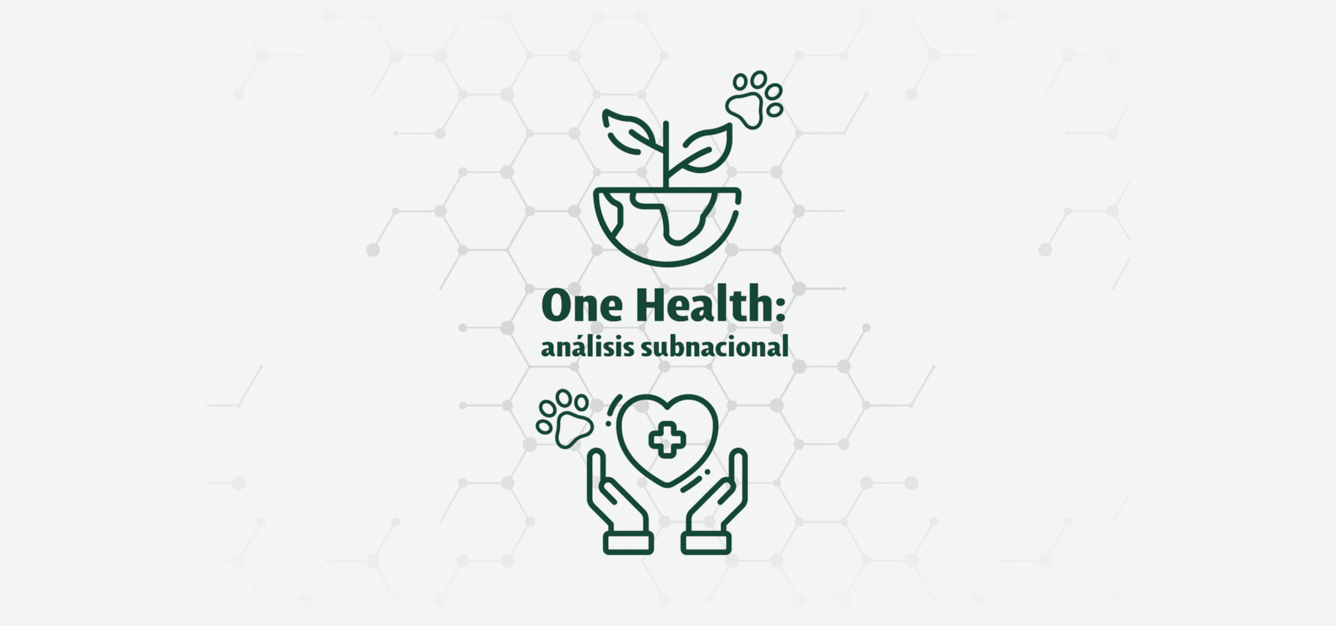 OneHealth México