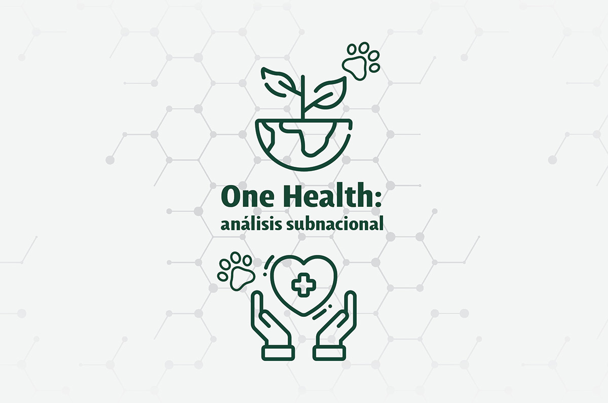 OneHealth México