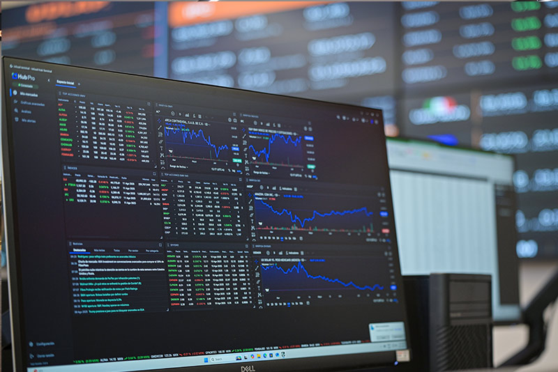 Centro de Análisis Económico y Estrategias de Inversión (CAEEI) - imagen 3