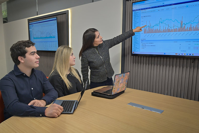 Laboratorio de Simulación Financiera - imagen 1