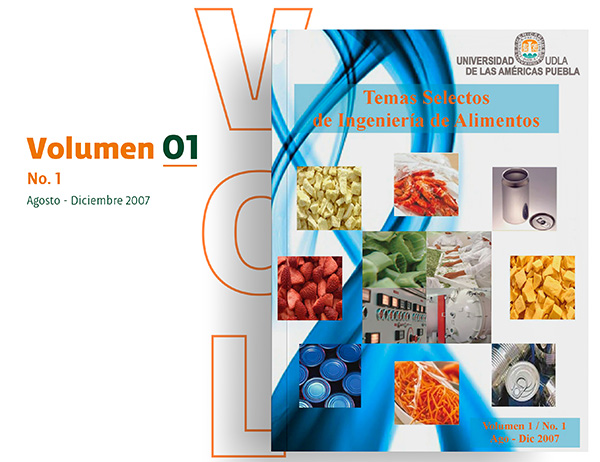 Revista TSIA Volumen 1 - UDLAP