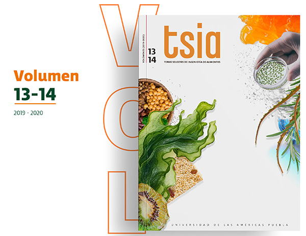 Revista TSIA Volumen 13 y 14 - UDLAP