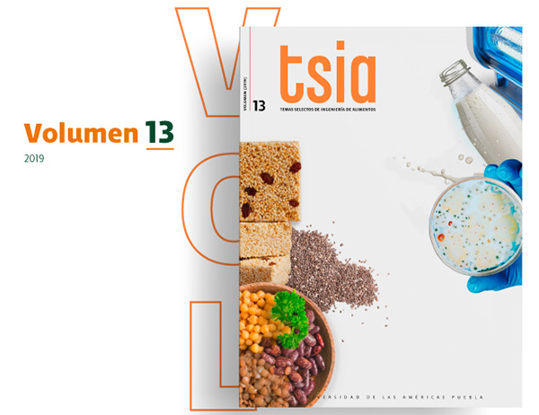 Revista TSIA Volumen 13 - UDLAP