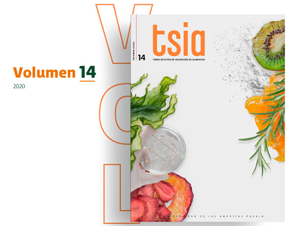 Revista TSIA Volumen 14 - UDLAP