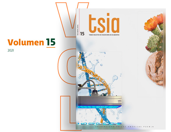 Revista TSIA Volumen 15 - UDLAP