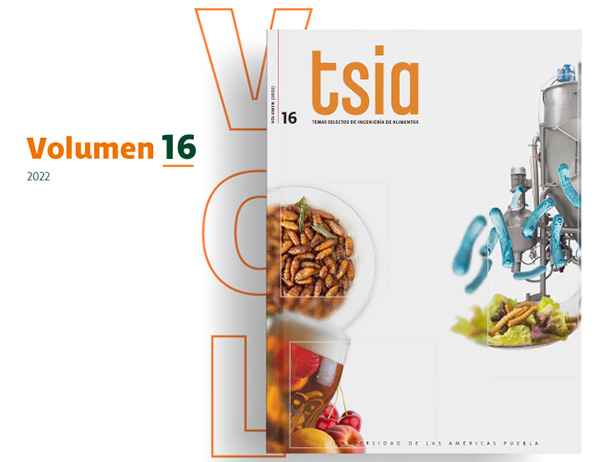 Revista TSIA Volumen 16 - UDLAP