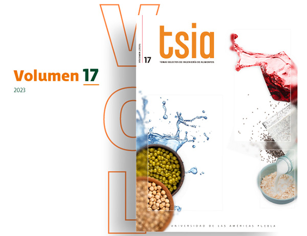 Revista TSIA Volumen 17 - UDLAP