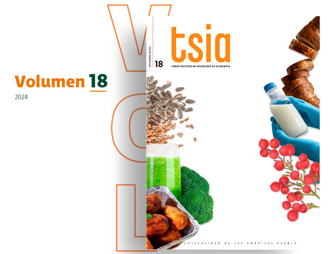 Revista TSIA Volumen 18 - UDLAP