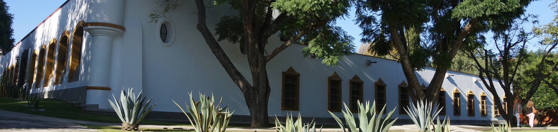 Universidad de las Américas Puebla