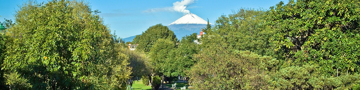 Universidad de las Américas Puebla