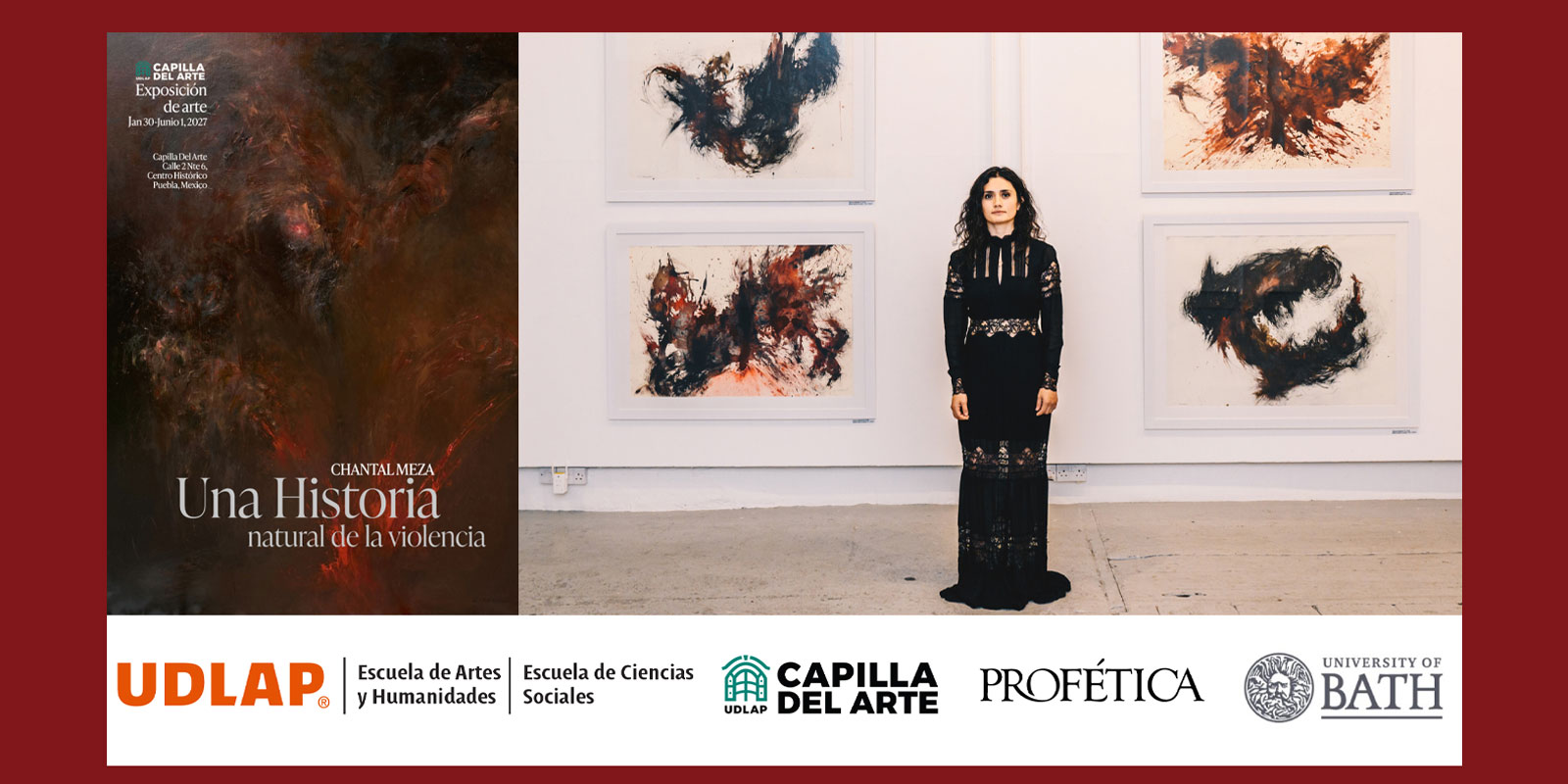 Exposición Chantal Meza – A Natural History of Violence