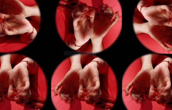 Videodanza 