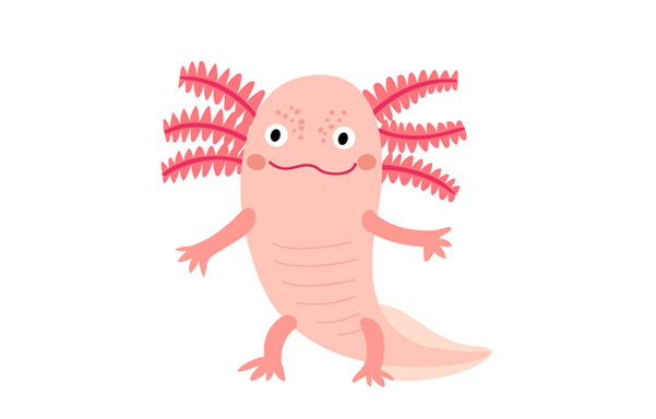 AxolotlTv: monstruo con sonrisa mexicana