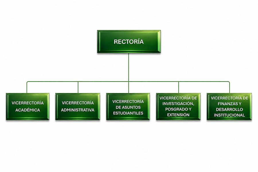 Organigrama institucional