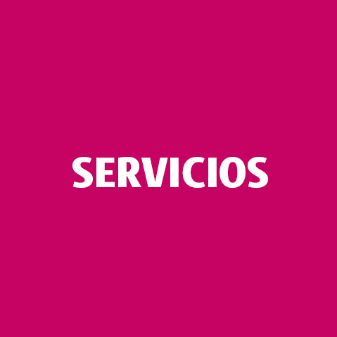 Servicios