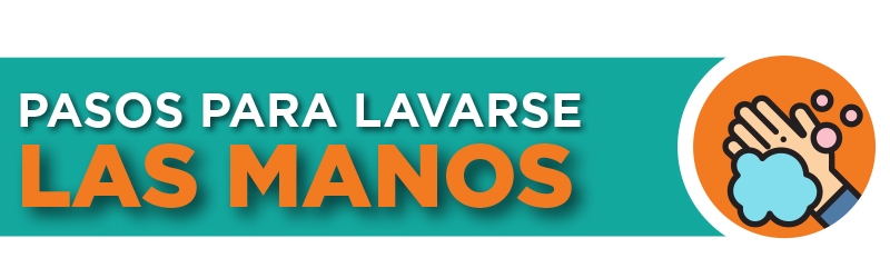 Pasos para lavarse las manos - UDLAP