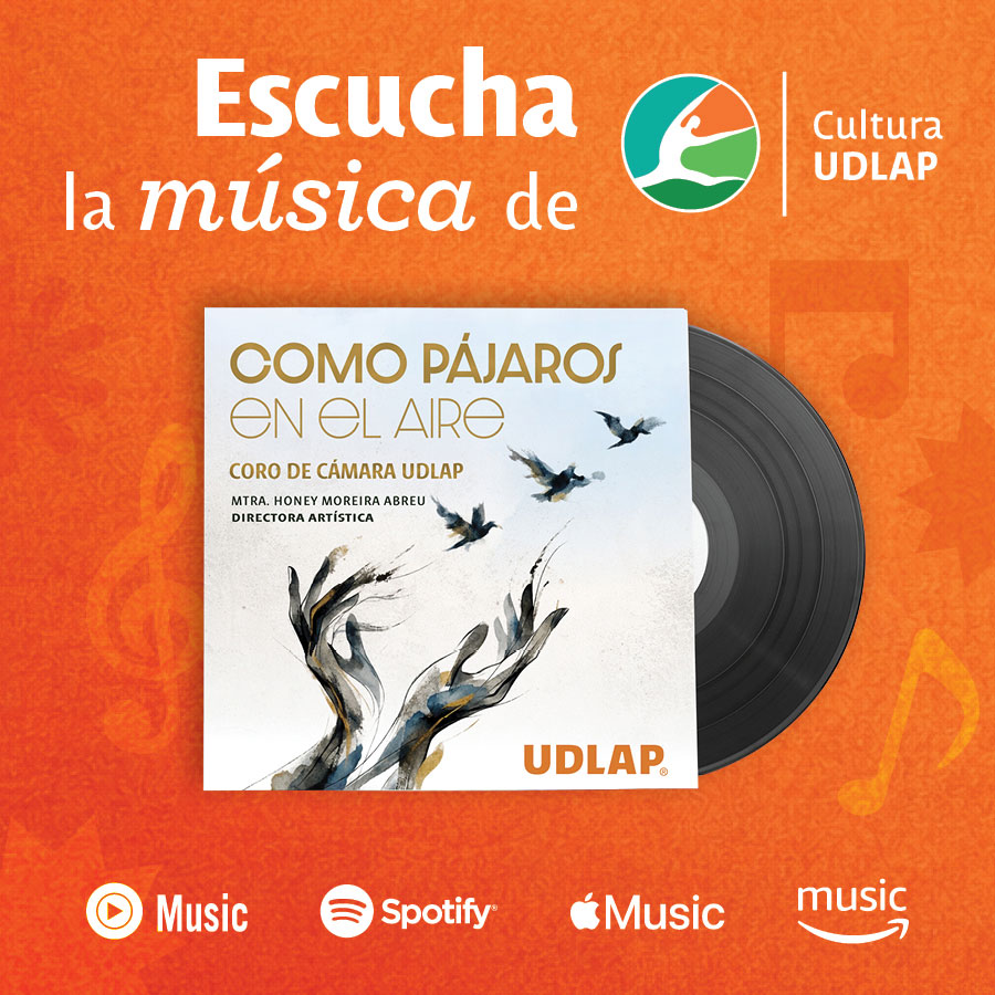 Concierto y ambiente musical en vivo