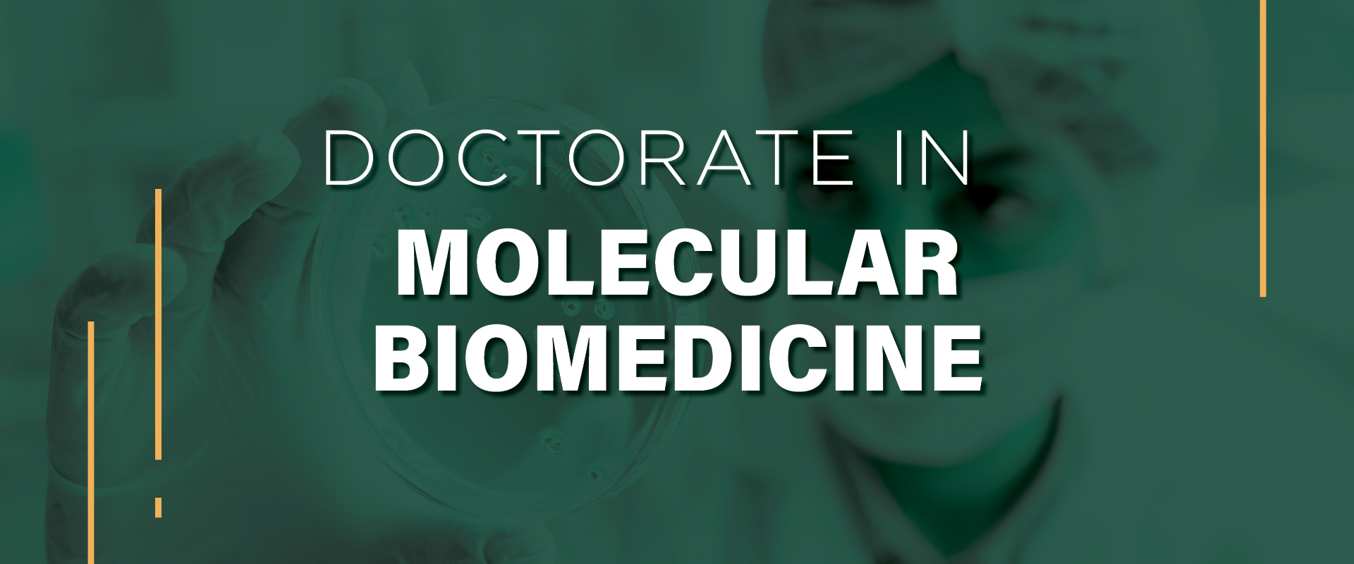 Molecular Biomedicine *