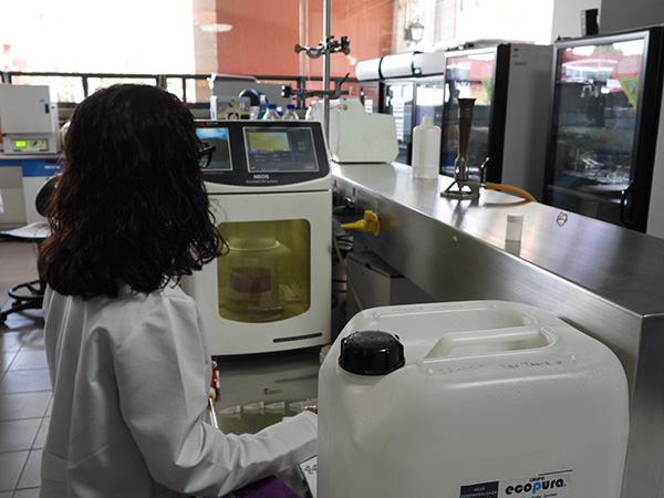 Ingeniería Química, Alimentos y Ambiental