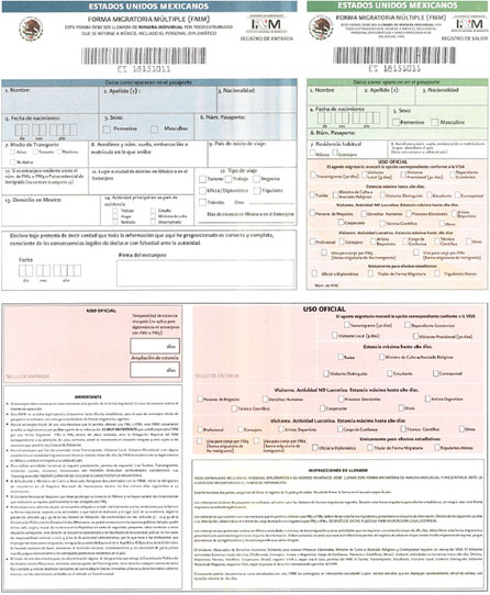 Forma migratoria múltiple (FMM) - UDLAP