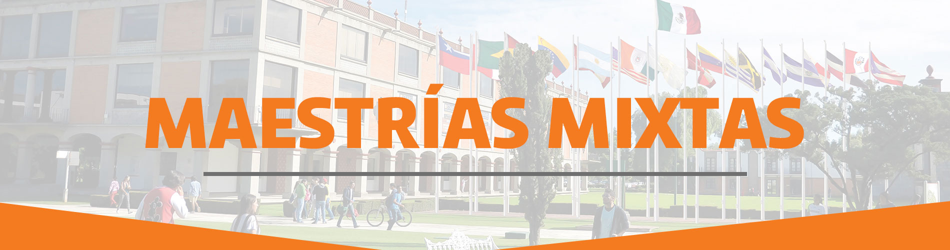 Universidad de las Américas Puebla