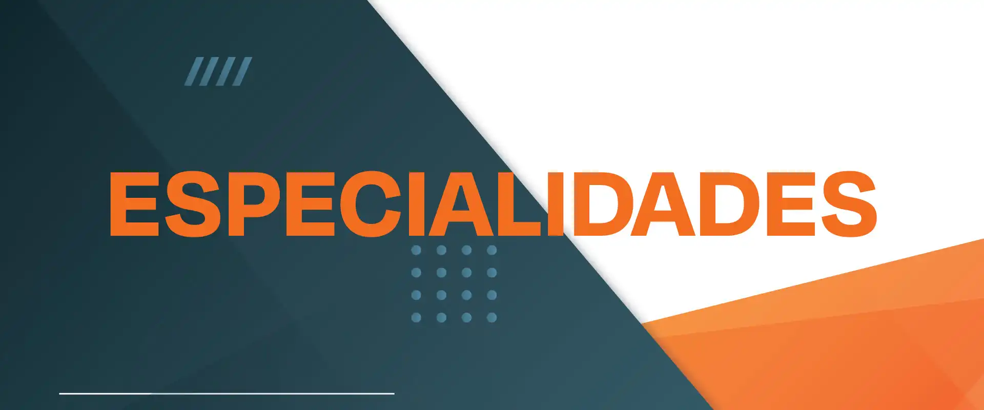 Especialidades - Universidad de las Américas Puebla (UDLAP)