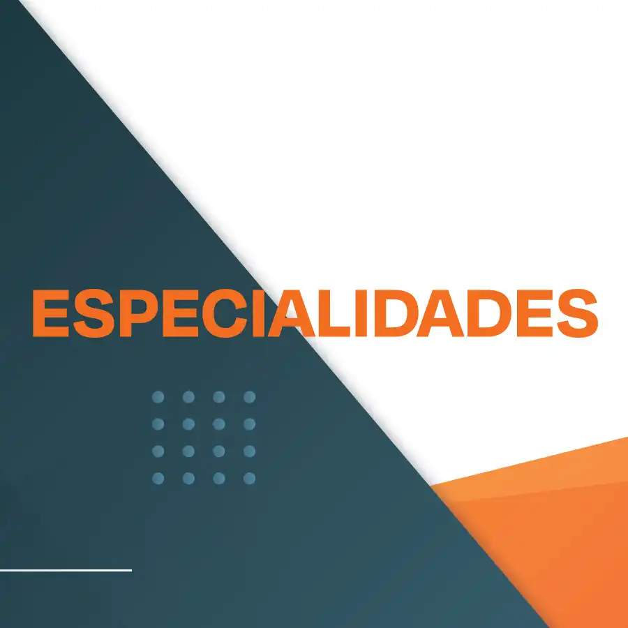 Especialidades - Universidad de las Américas Puebla (UDLAP)