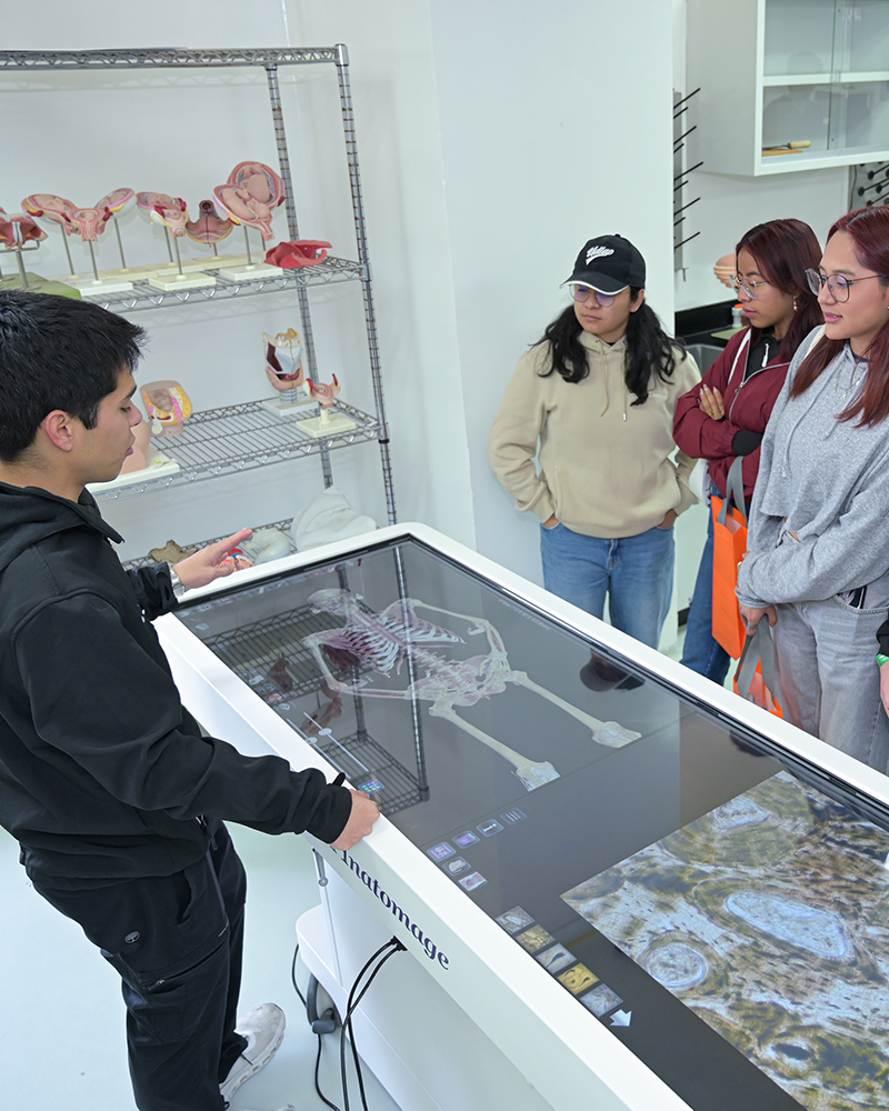 La Anatomage: estudio de la anatomía humana
