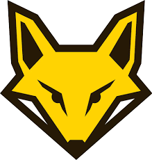 CETYS ZORROS