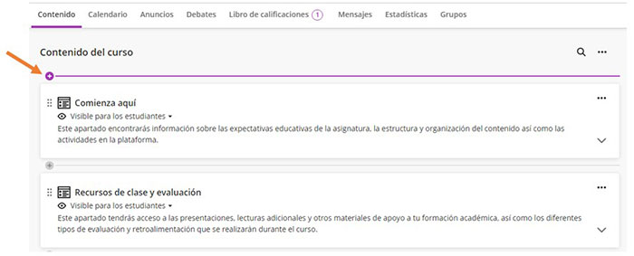 v100 Blackboard UDLAP