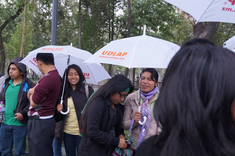 2011 — foto 6