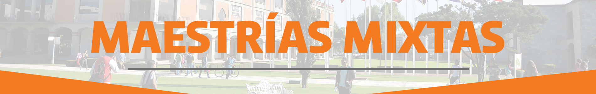 Elige UDLAP, Universidad de las Américas Puebla