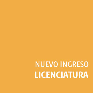 Nuevo ingreso - Licenciatura