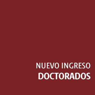 Nuevo ingreso - Doctorados