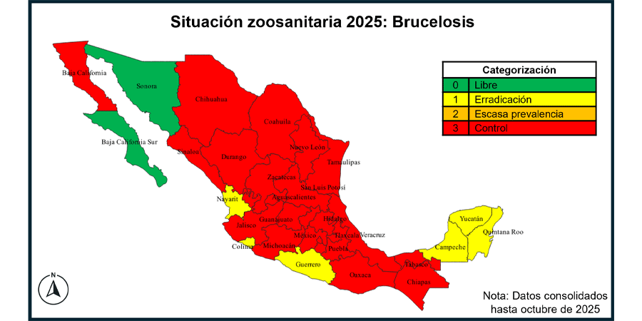 Imagen 1 - Brucelosis