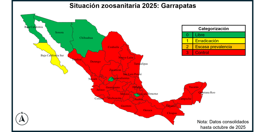 Imagen 1 - Garrapata