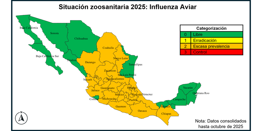 Imagen 1 - Influenza aviar