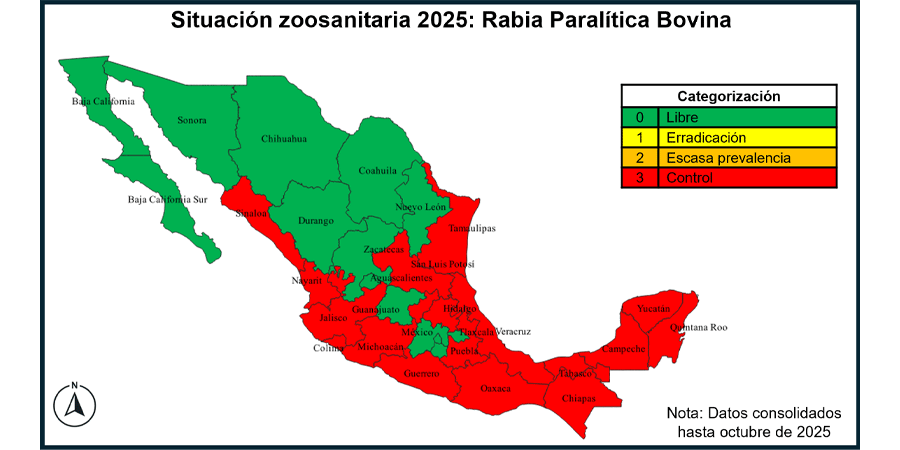 Imagen 1 - Rabia paralítica bovina