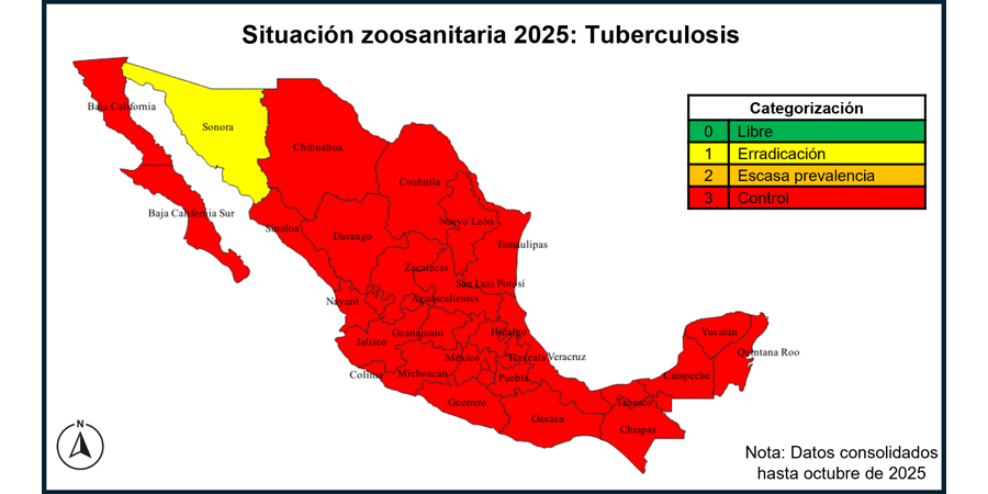 Imagen 1 - Tuberculosis bovina