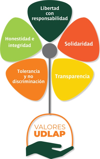 Valores Taller 2025