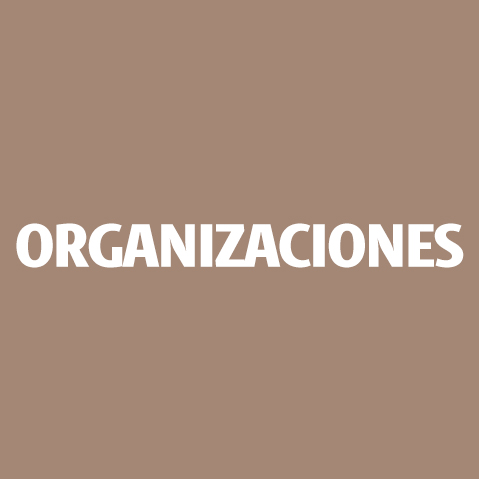 Organizaciones - UDLAP