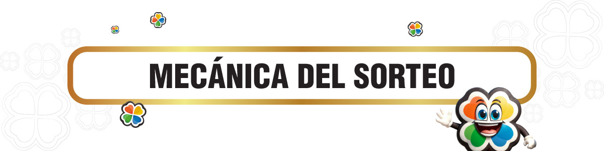 Banner Mecánica - Sorteo UDLAP